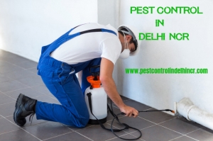 Pest Control In Delhi - pest control in delhi ncr -Sparsh In